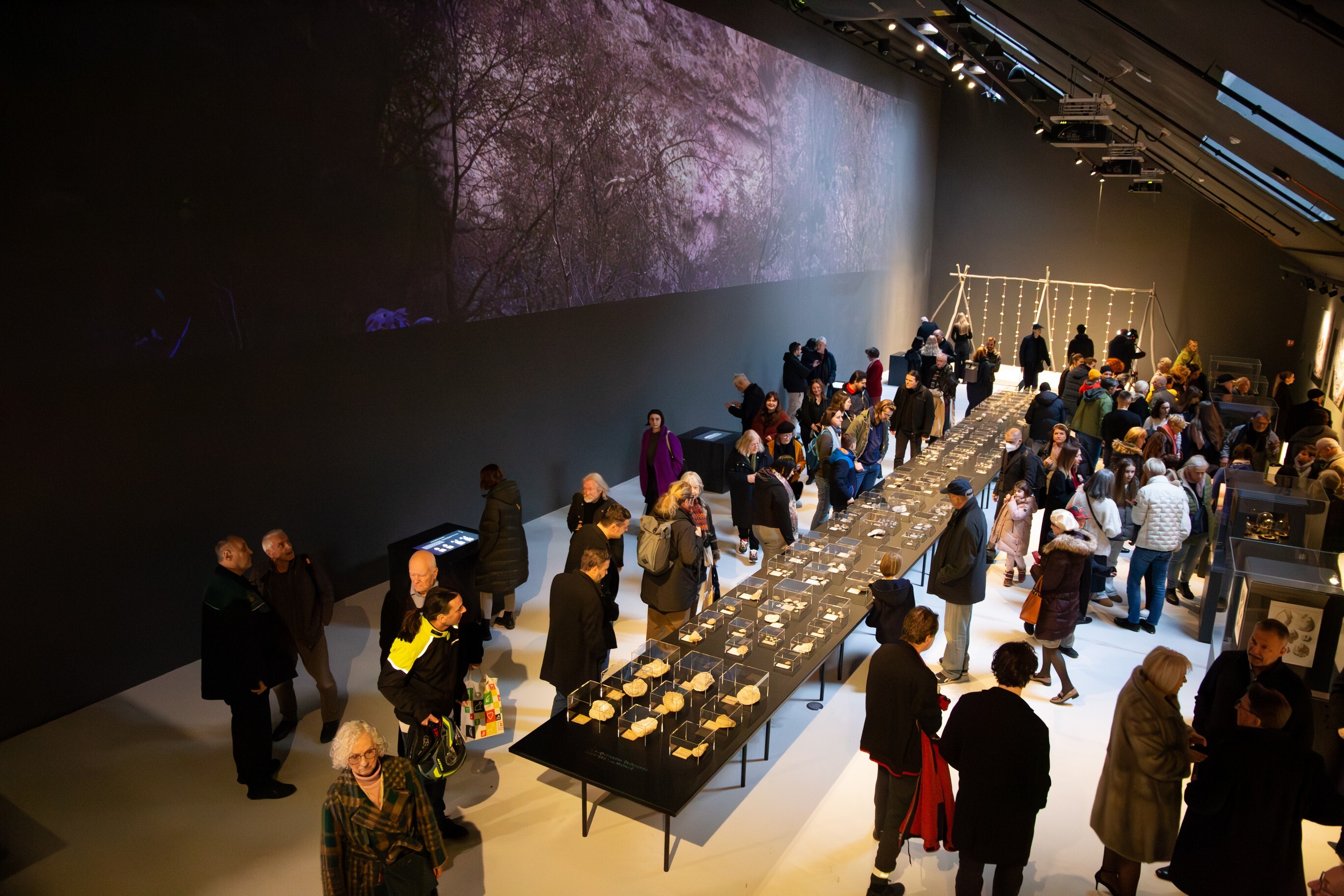 4748898e fb56 56b0 1fe9 91476ee76f1f