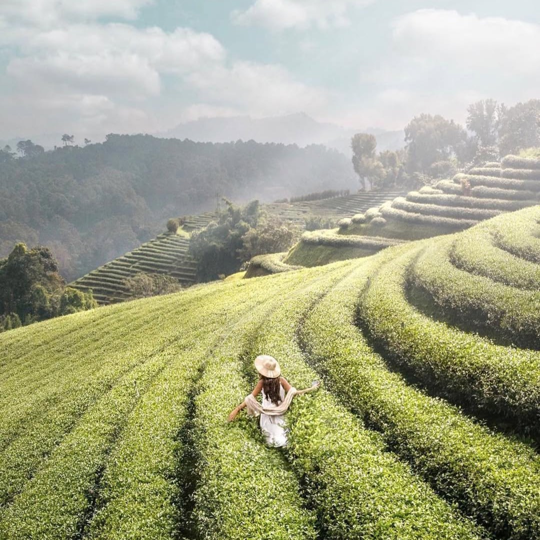 SnapInsta.to 500533148 18505220197046906 1134876686108277817 n