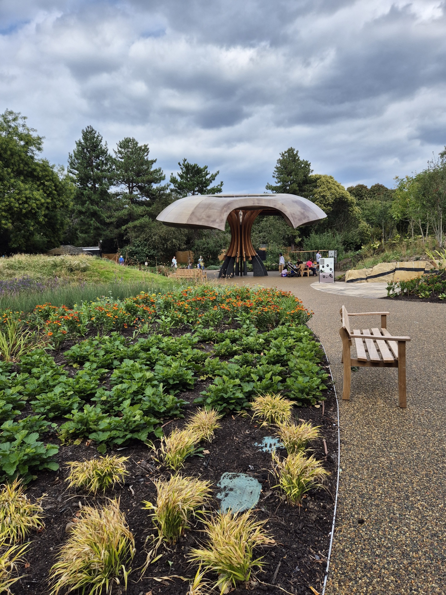 20250823 141916 resized