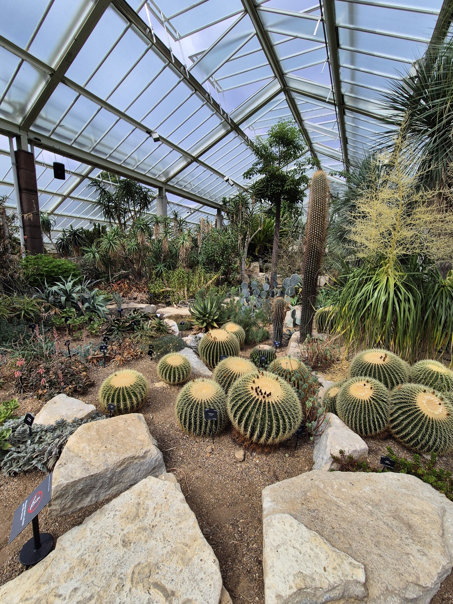 20250823 144824 resized