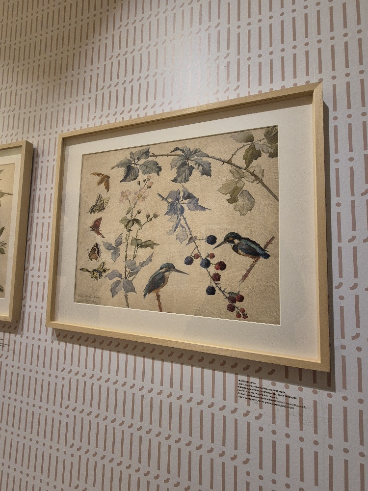 20251106 184948 resized