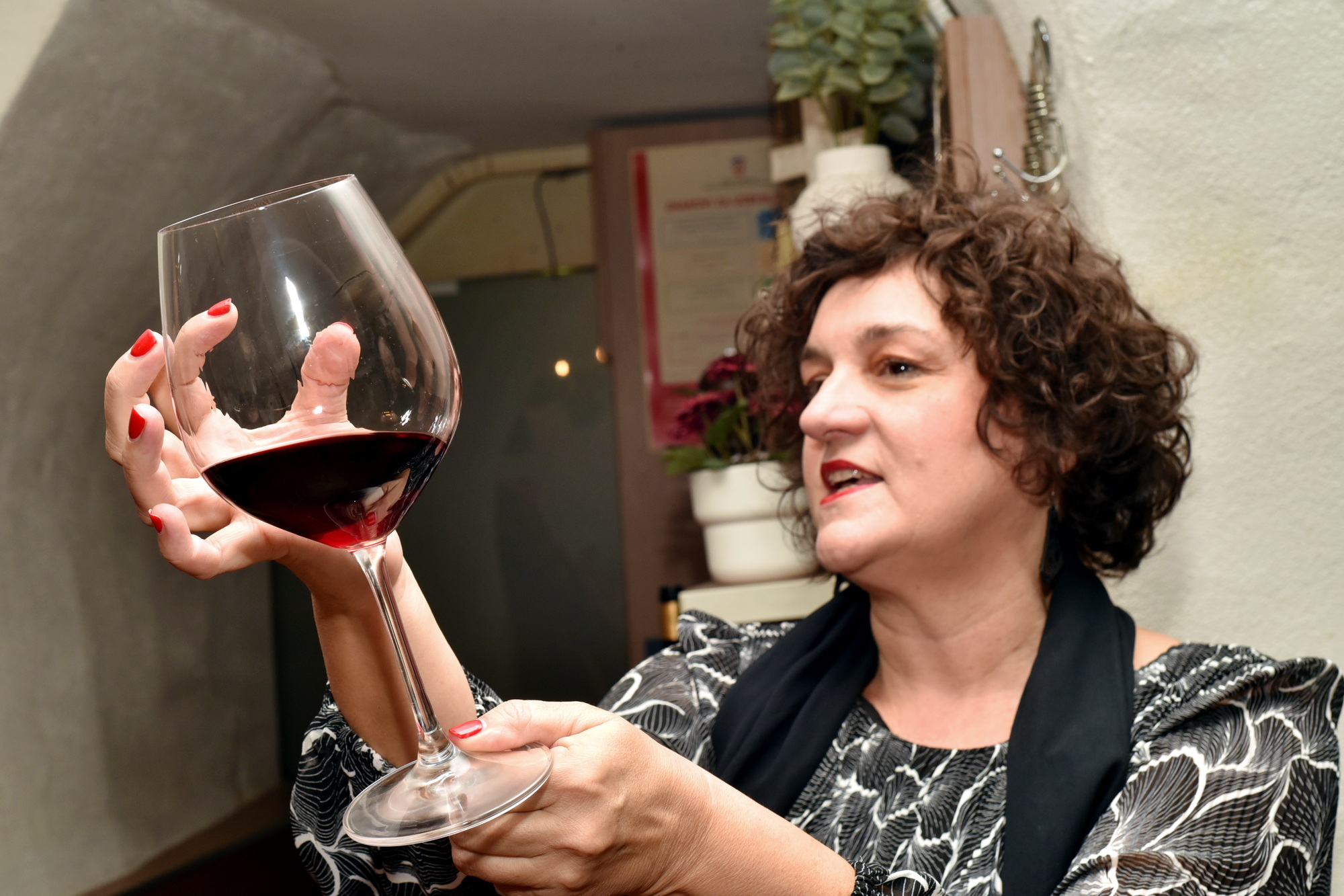 Vina Hilić Fino i Vino 2025 10