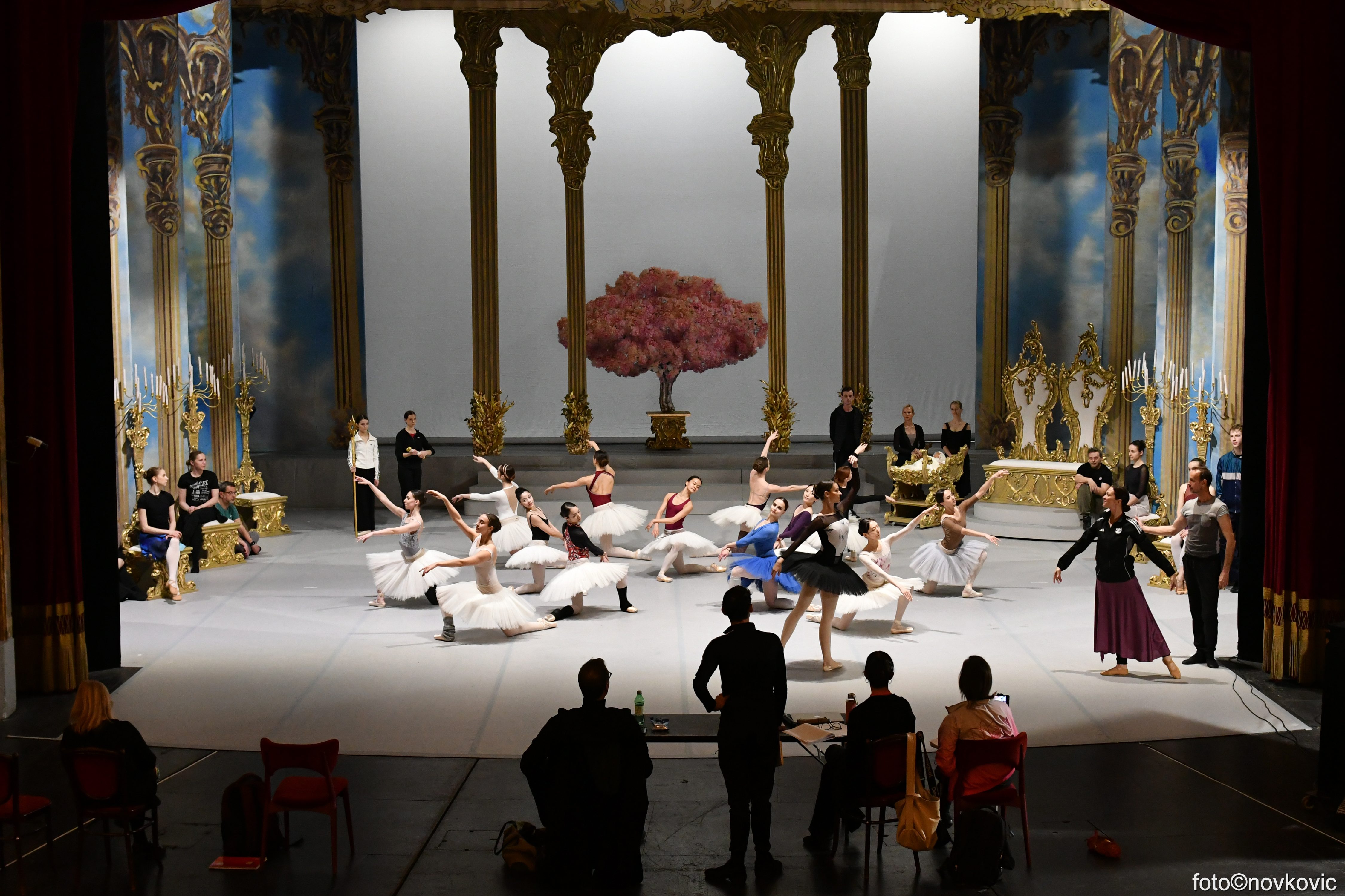 TRNORUŽICA BALET Petra Iljiča Čajkovskog - nova produkcija stiže u HNK