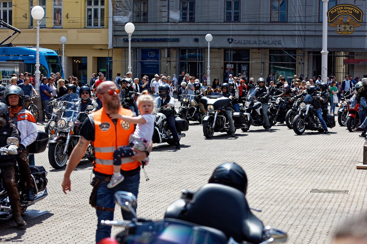 Harley familly