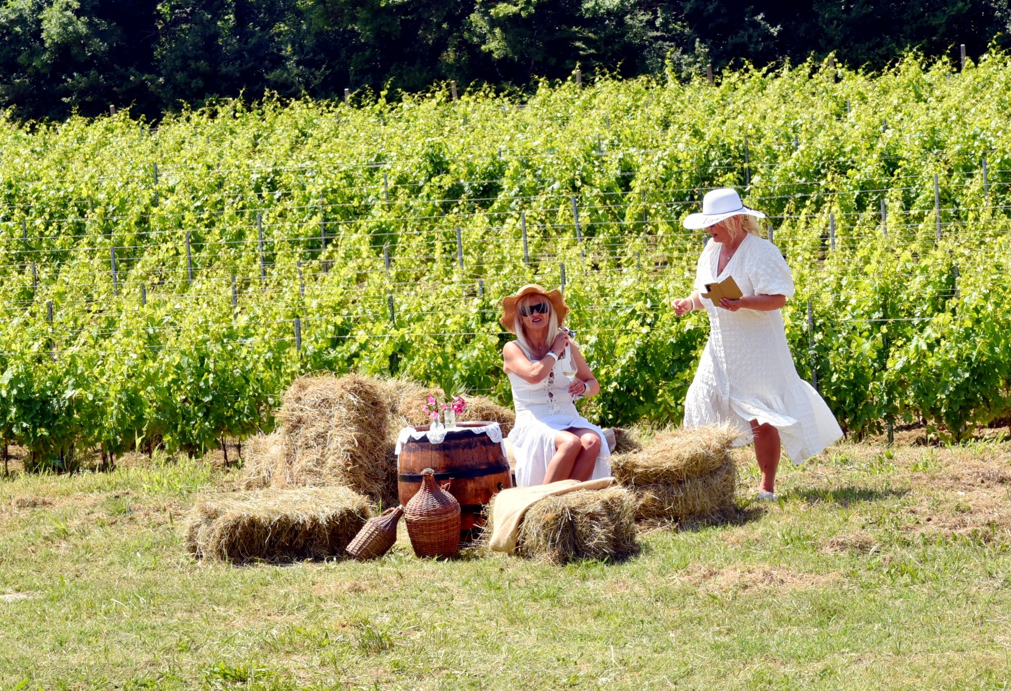 MARIJA VUKELIĆ I NJEZIN ODLIČAN PROJEKT # Pjenušavi doručak u vinogradu - Kvarner