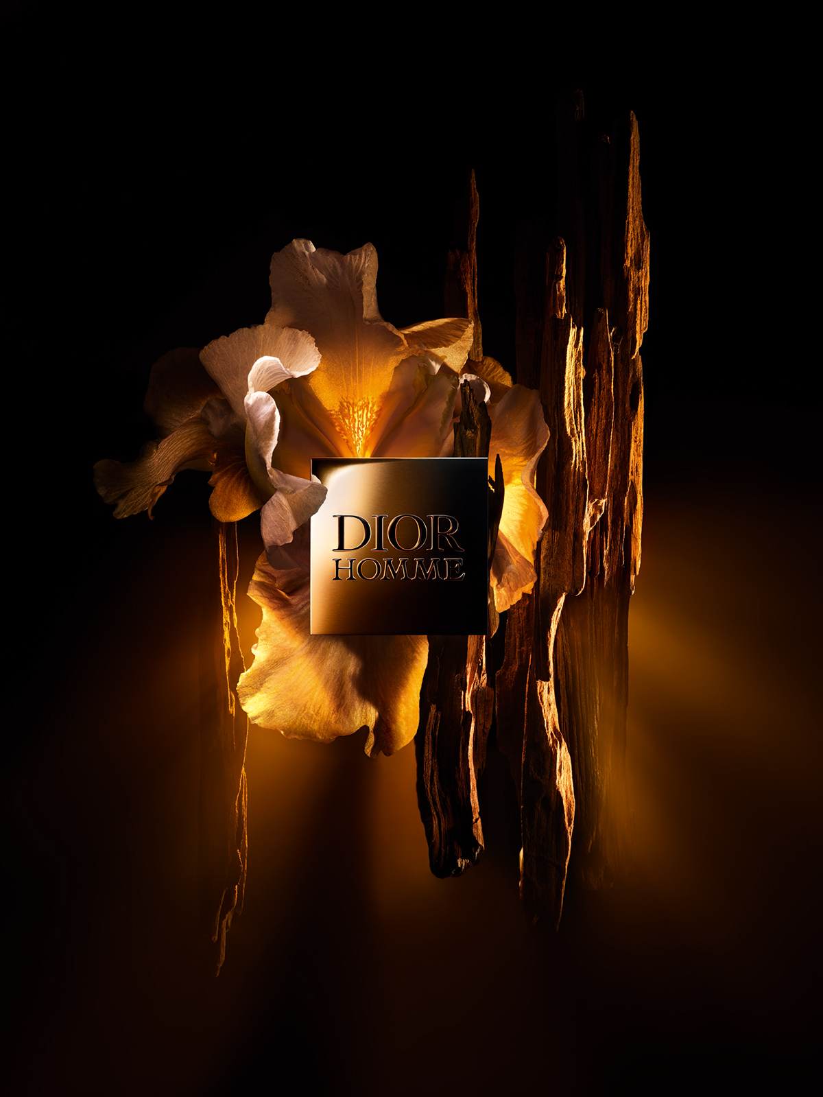 dior homme L4 F39