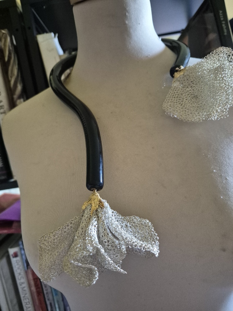 20250626 105325 resized