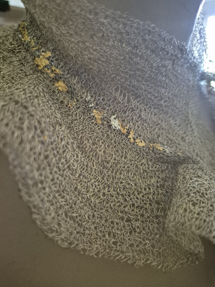 20250626 105557 resized