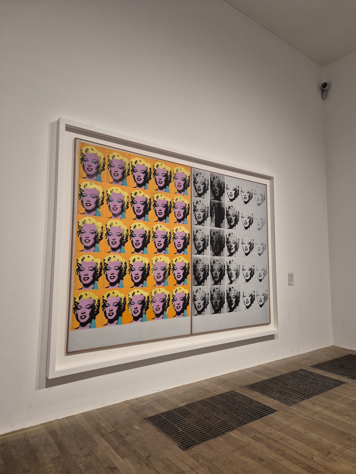 20250821 130201 resized 1