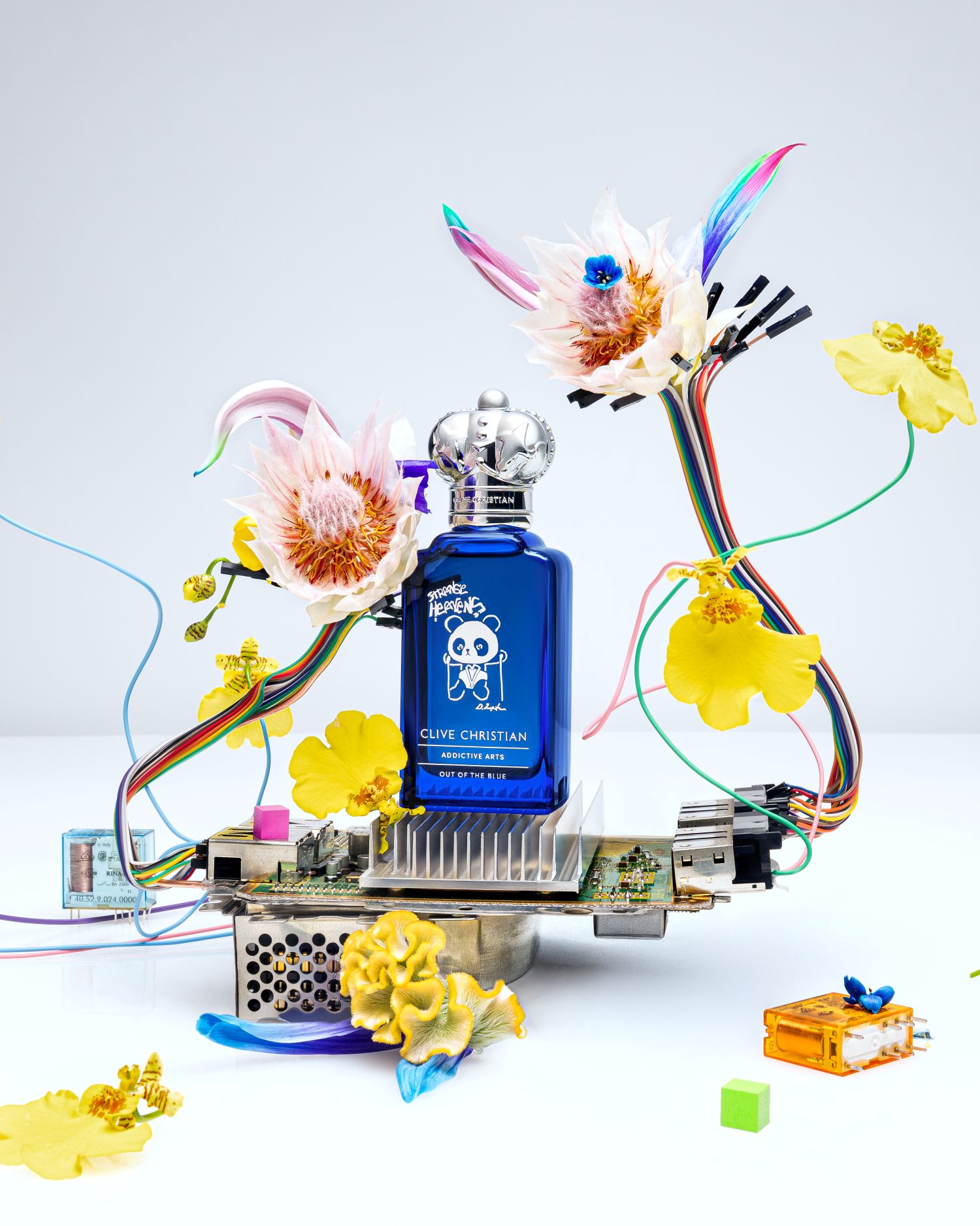 CC STRANGE HEAVENS 20261