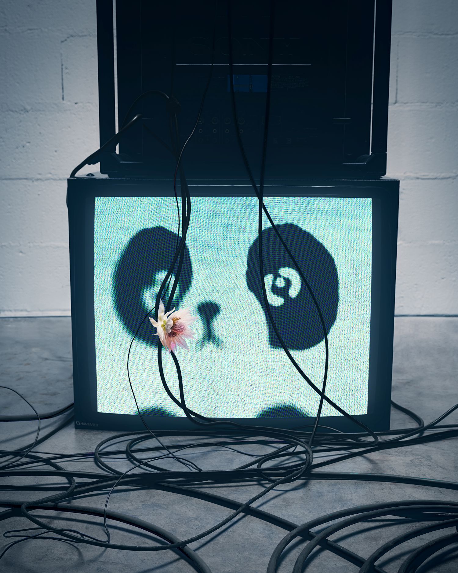 CC STRANGE HEAVENS 20269