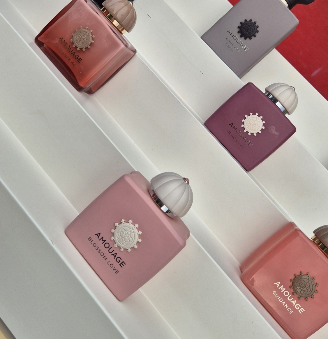 amouage rovinj 5