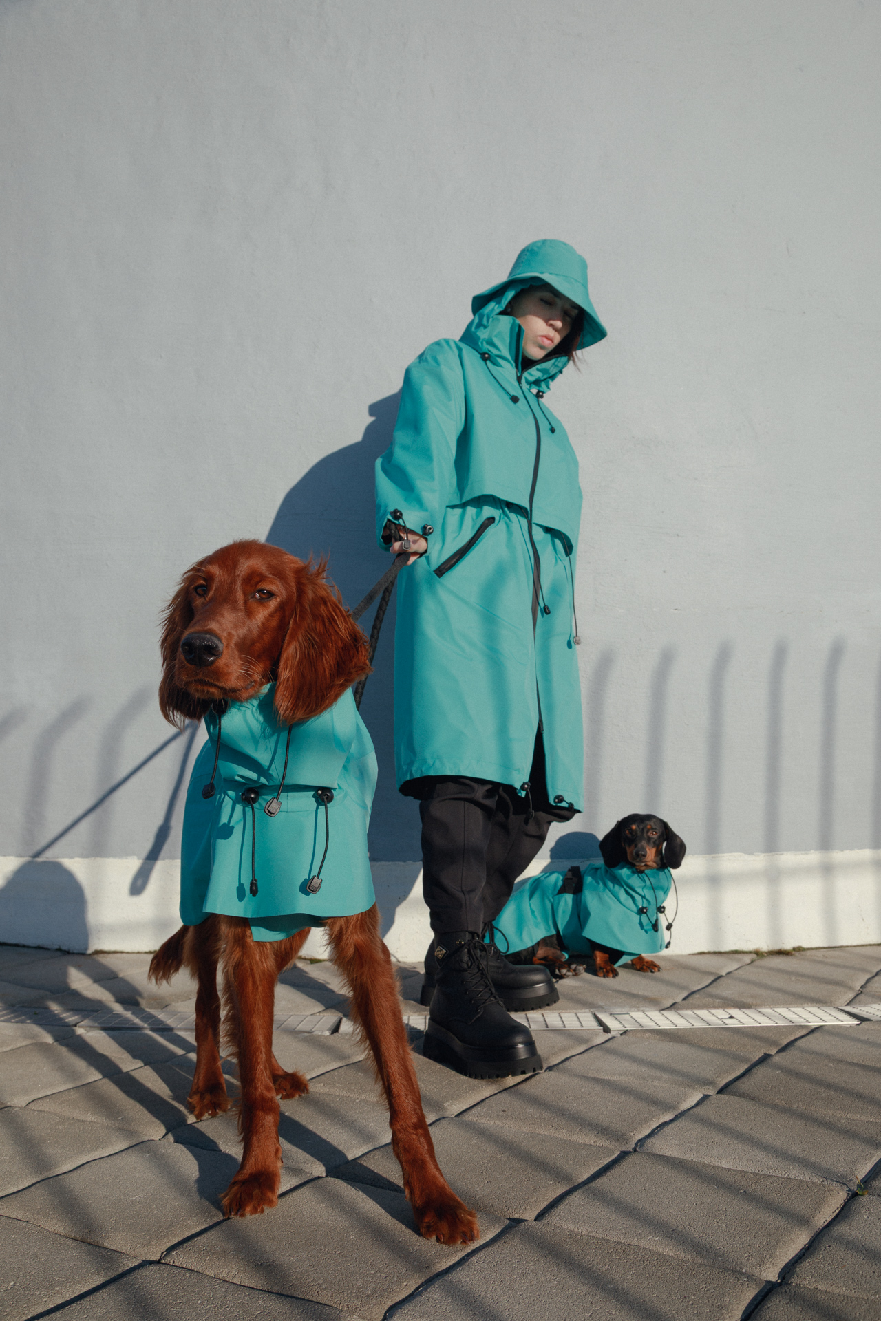 web MG 3959