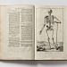 Denis Diderot Encyclopaedie ou dictionnaire raisonne Francuska enciklopedija Livorno 1771jpg